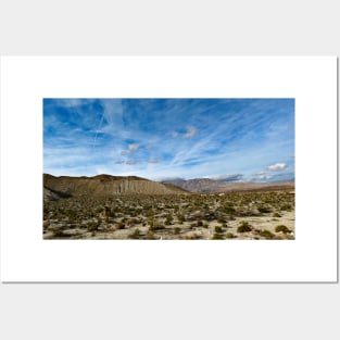 Anza Borrego Desert State Park Posters and Art